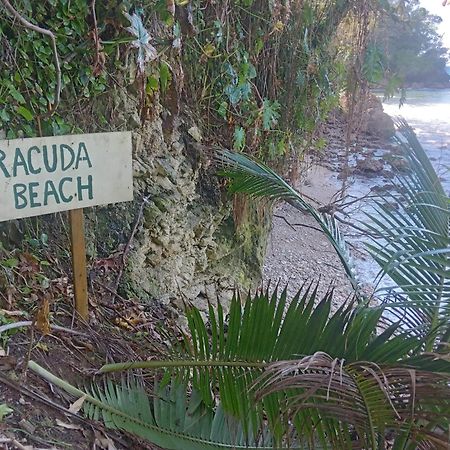 ホテル Barracuda Beach ポート・アントニオ エクステリア 写真