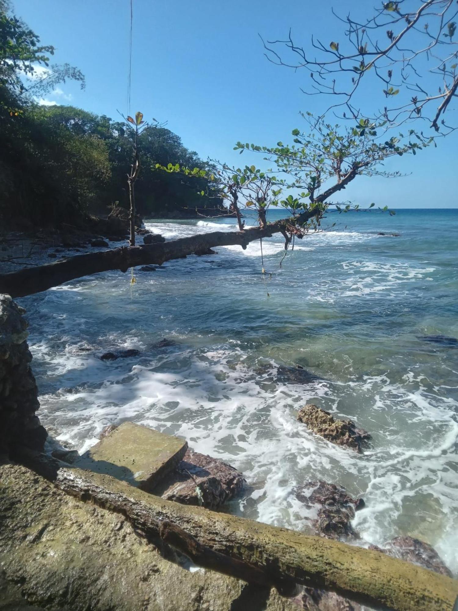 ホテル Barracuda Beach ポート・アントニオ エクステリア 写真