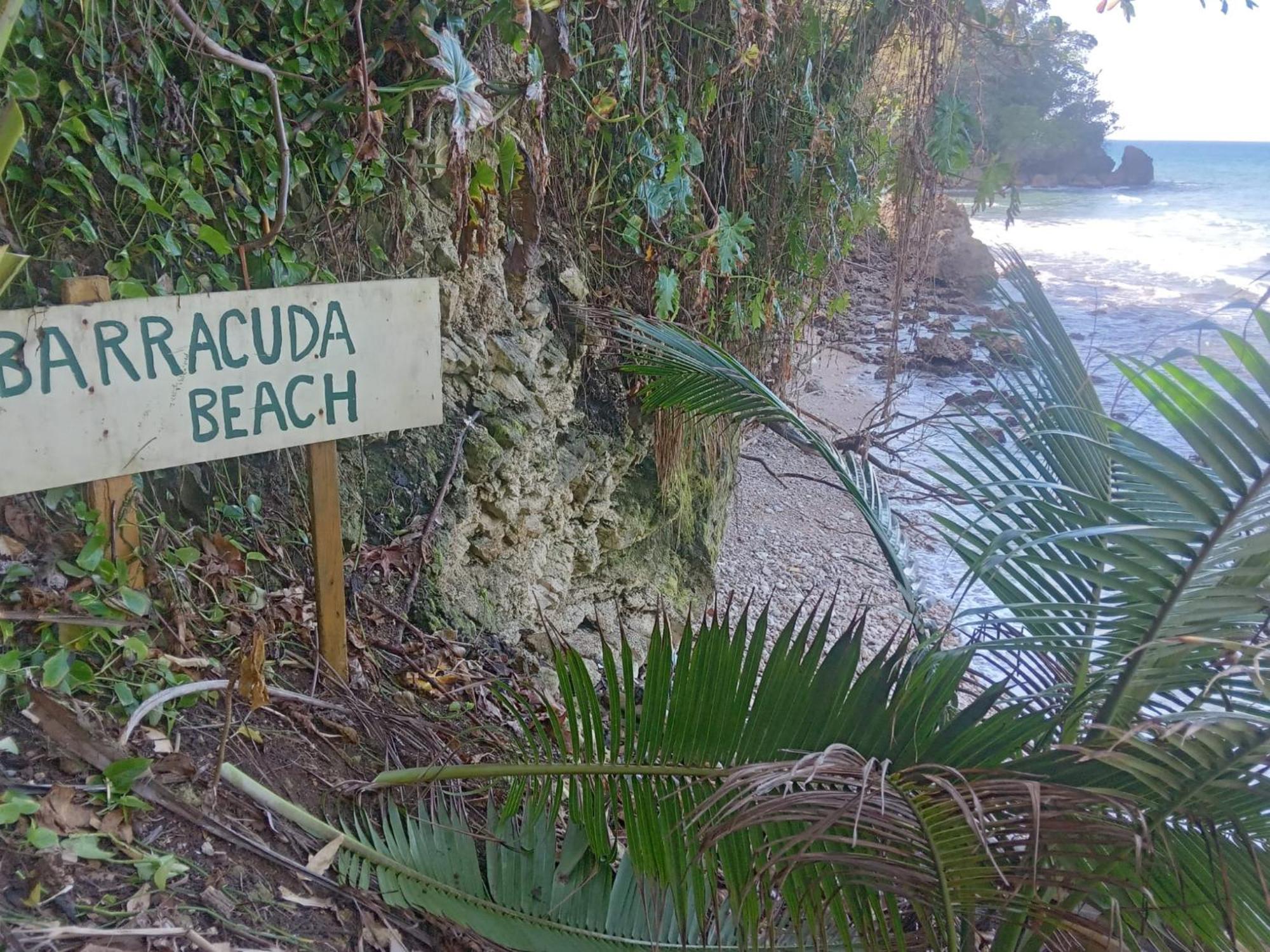 ホテル Barracuda Beach ポート・アントニオ エクステリア 写真