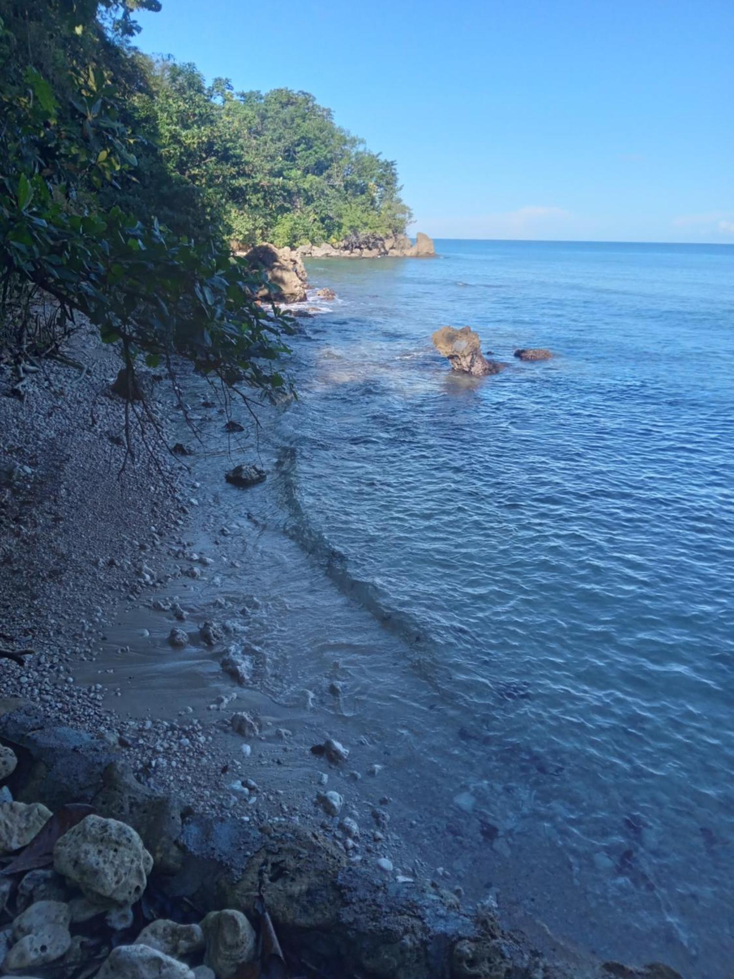 ホテル Barracuda Beach ポート・アントニオ エクステリア 写真