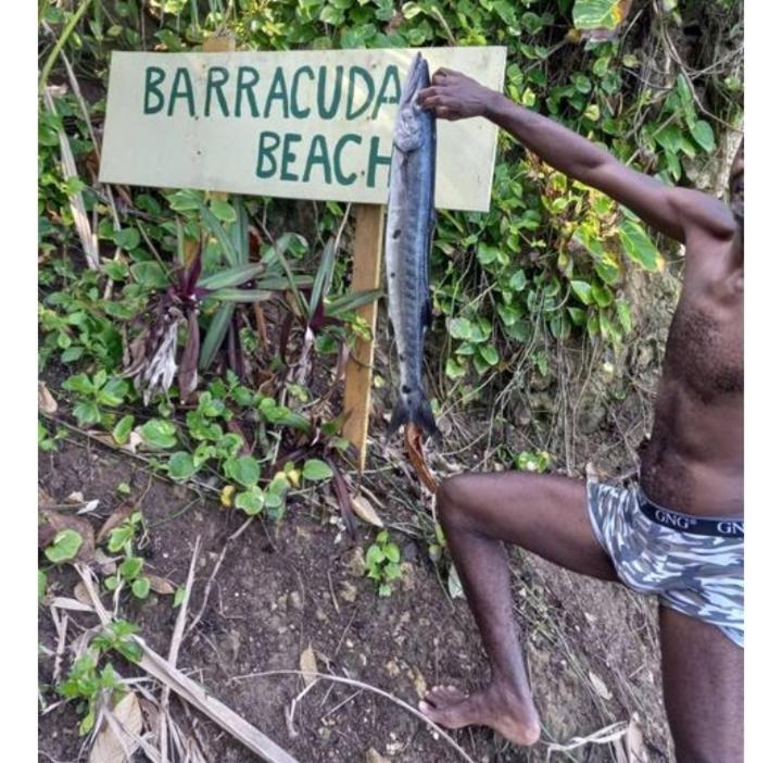 ホテル Barracuda Beach ポート・アントニオ エクステリア 写真