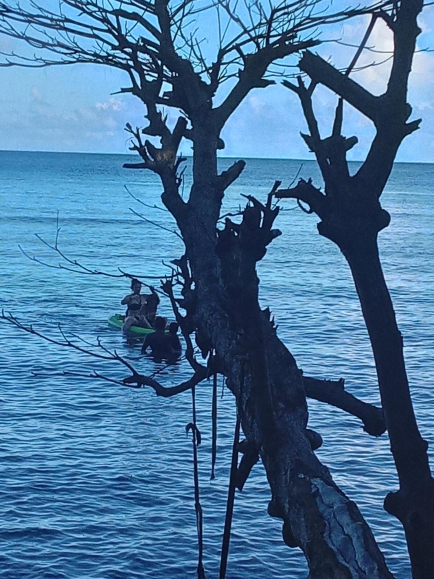 ホテル Barracuda Beach ポート・アントニオ エクステリア 写真